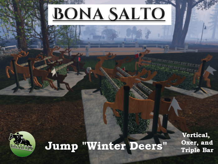 .:BSS:. Jump "Winter Deers"