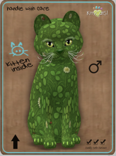 KittyCatS Box - The WeeDs! - Clover In Dover Boy