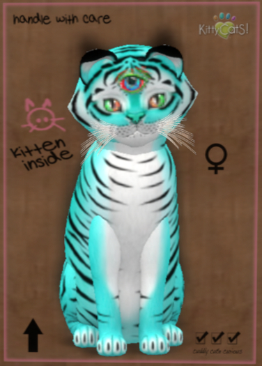 KittyCatS Box - Blinking Garden