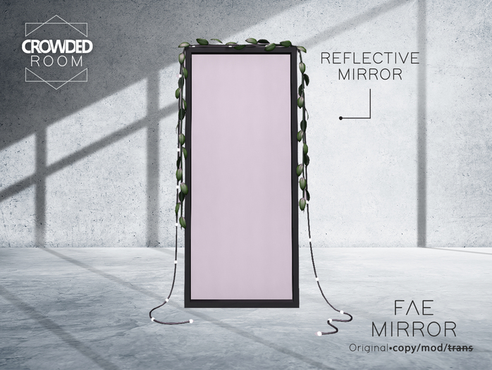 Crowded Room - Fae Rectangle Mirror - Black 