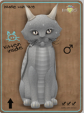 KittyCatS Box - Darling DragonS! - Soulful Boy