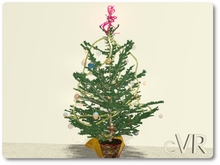 cVR Xmas tree 2025 v2 Evolved box