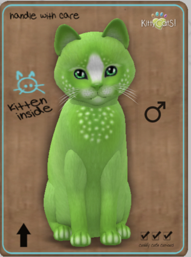 KittyCatS Box - Confetti - LimeBerry Male