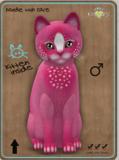 KittyCatS Box - Confetti - PinkBerry Male