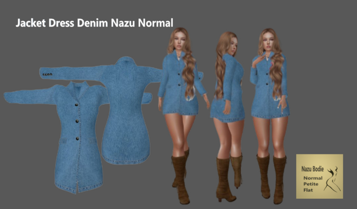 Jacket Dress Denim Nazu Normal