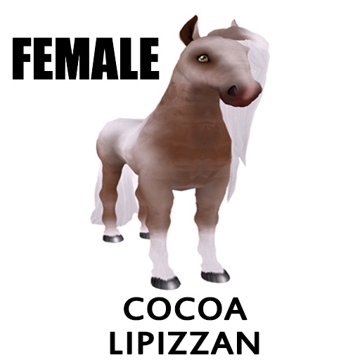 COCOA LIPIZZAN - COUPLE - (Breedable Bundle)