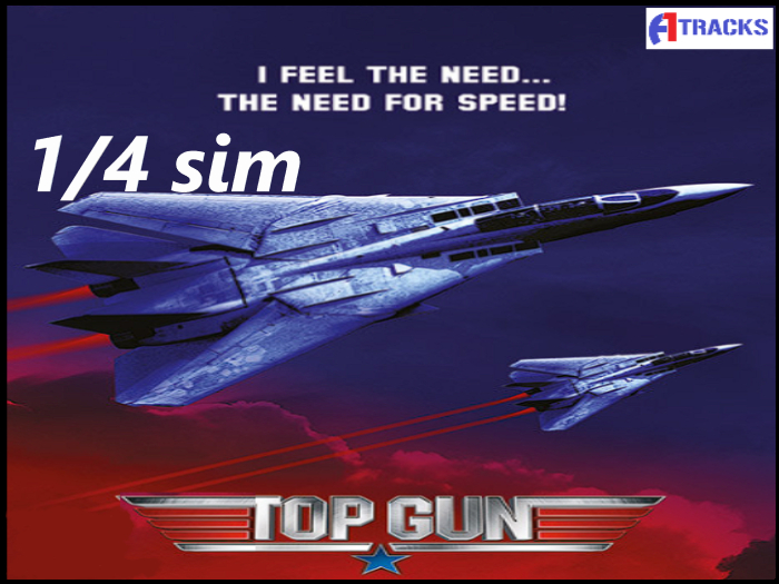 1/4 sim Top Gun