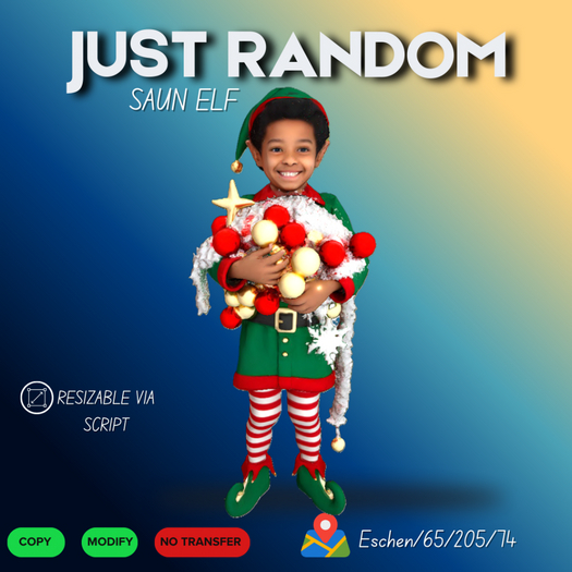 SAUN ELF
