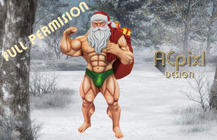 Sexy Santa