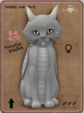 KittyCatS Box - Darling DragonS! - Soulful Girl