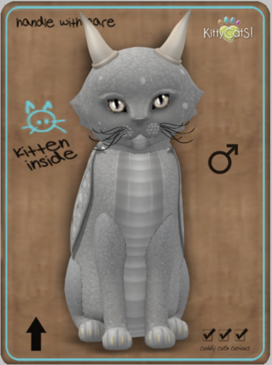 KittyCatS Box - Darling DragonS! - Soulful Boy