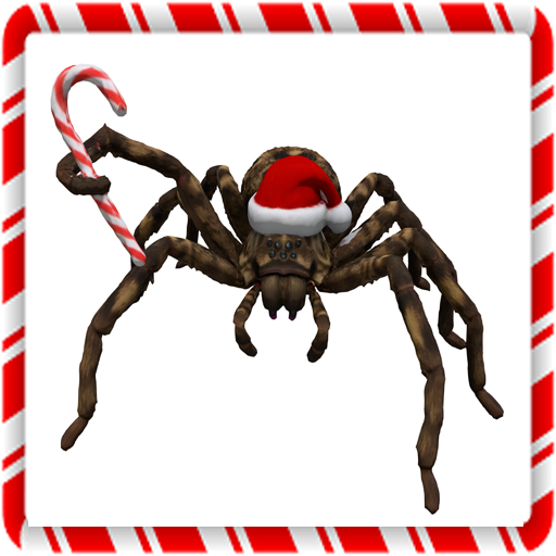 Aussie Christmas Giant Huntsman Spider