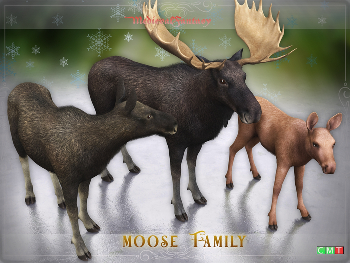 [MF]  Charming Moose Family (Boxed)