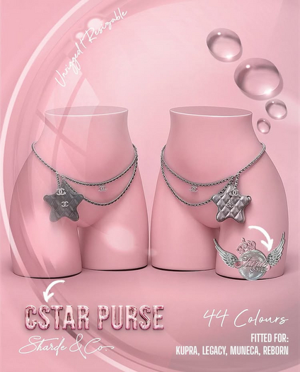 SHARDE $ CSTAR bag (fatpack)