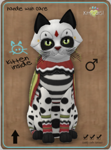 KittyCatS Box - HarleCatS! - Super Star Boy