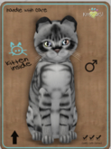 KittyCatS Box -  Australian Mist - Charcoal Male