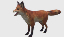 animal - fox