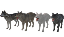 animal - wolves