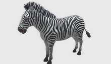 animal - zebra