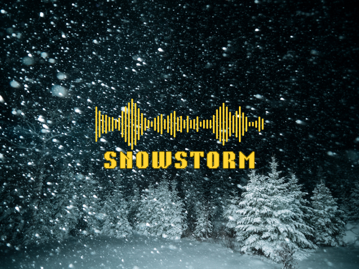 Sound: Snowstorm [Transfer]