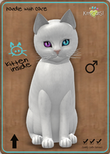 KittyCatS Box - Russian - White