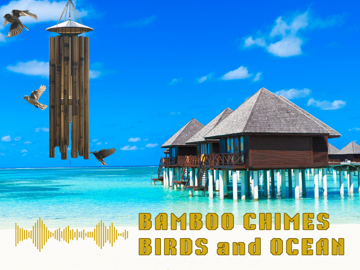 Sound: Windchime - Bamboo Birds Ocean [Transfer]
