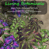 Inochi Botanicals - Colocasia Fat Pack I