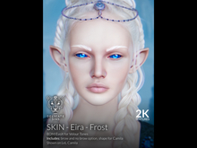 {DS} - Skin - Eira - Frost 2K
