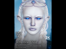 {DS} - Skin - Eira - Ghost 2K