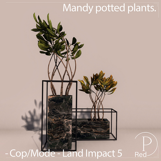 P.ReD. Mandy potted plants. - Box