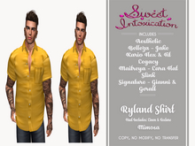::Sweet Intoxication:: Ryland Shirt - Mimosa