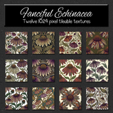 *Wallflowers* Fanciful Echinacea