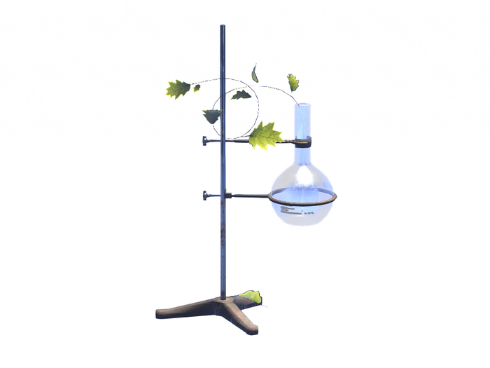 -ATTIC- Aesthetic Lab Leaf Florence