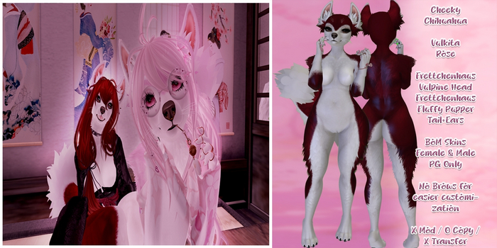 *CC* - Vulkita - Rose
