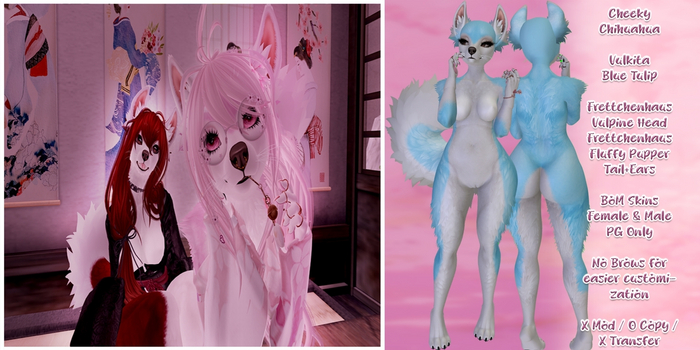 *CC* - Vulkita - Blue Tulip