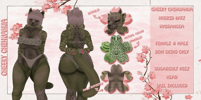 *CC* Hybrid Katz - Hydrangea