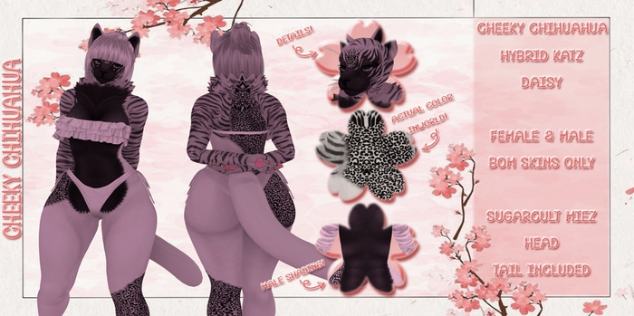 *CC* Hybrid Katz - Daisy