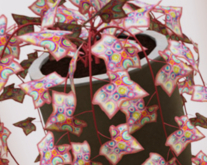 POTTED: Breedable DECO DRIFT Beautiful Ivy Plant Seed