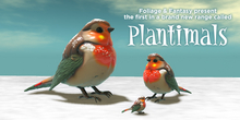 Winter Pine Robins Pantimals x 3 Pack