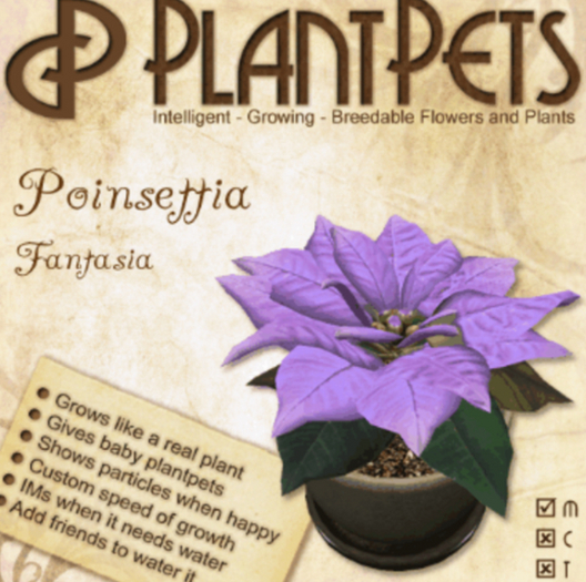PlantPet Seed [Poinsettia *Fantasia*] RARE
