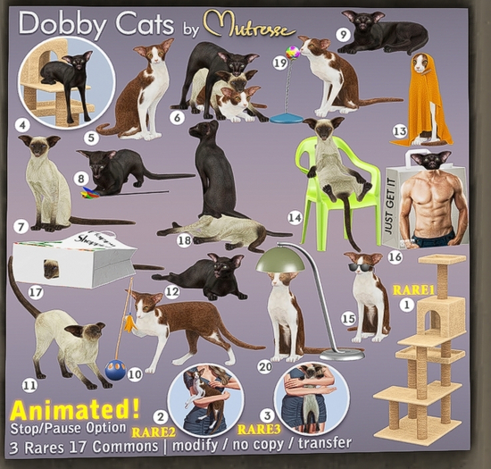 01-Mutresse-Dobby Cats-RARE