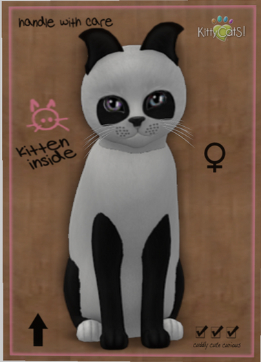 KittyCatS Box - New Born Kitten