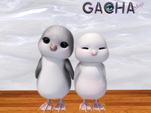 SEmotion Libellune Cuddle Penguins Companion RARE 02