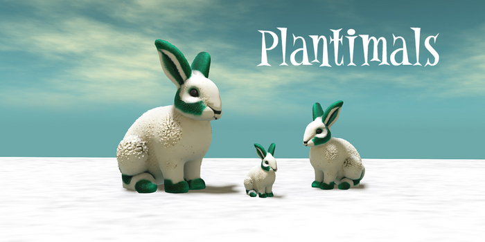 Snow Thistle Bunny Plantimals x 3 Pack