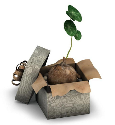 10_8f8 - Retracing Joy - Living Essentials Box