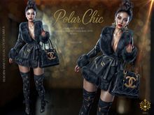 Polar Chic * Coco`d Up, Designer Ensemble