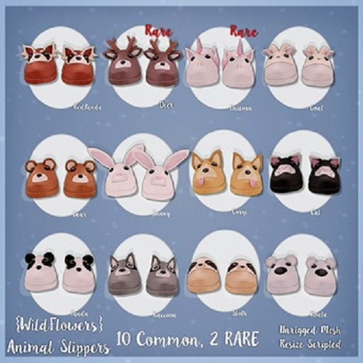 {WF} Animal Slippers Box - RedPanda