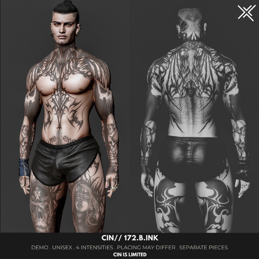 CIN// 172.B.INK