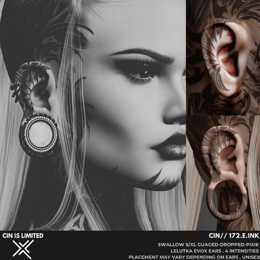 CIN// 172.E.INK