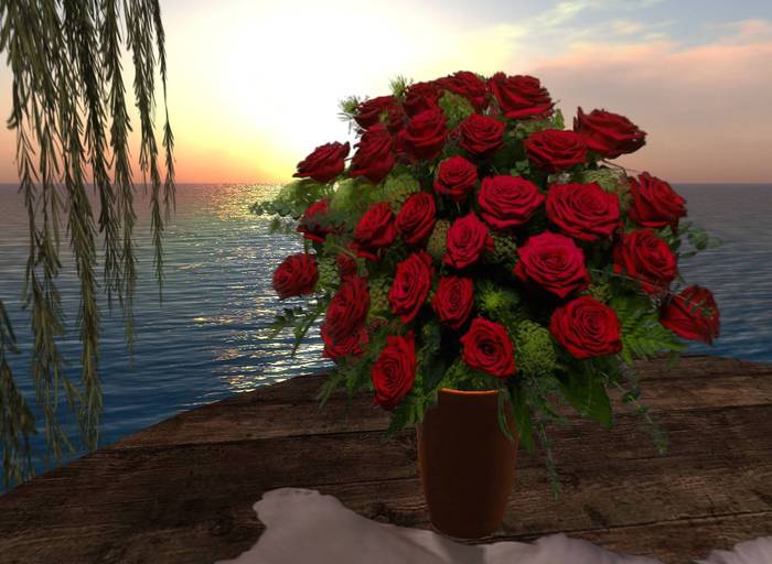 CJ 2 Dozen Roses - c + m ~